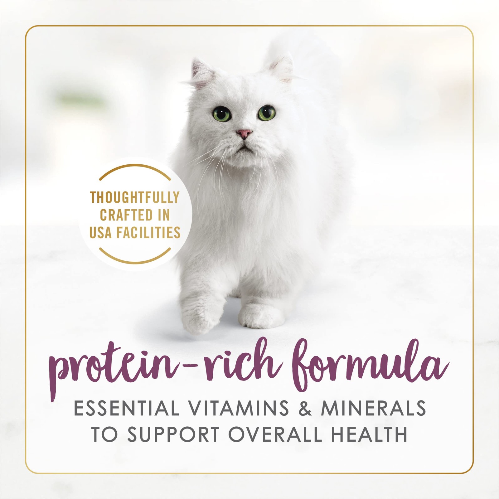 Purina Fancy Feast Gravy Lovers Chicken 3 Ounce (Pack of 24),