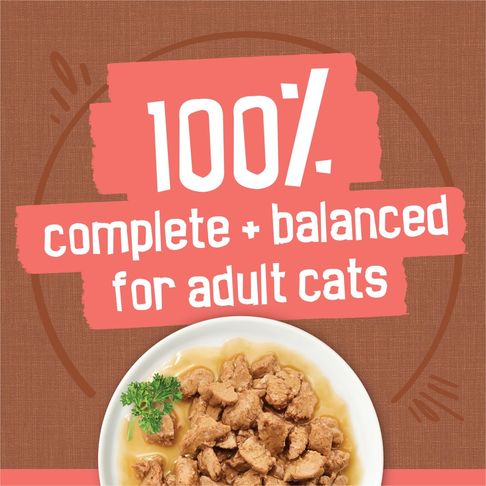 2 PACK Purina Friskies Extra Gravy Wet Cat Food Chunky 24ct Variety Pack