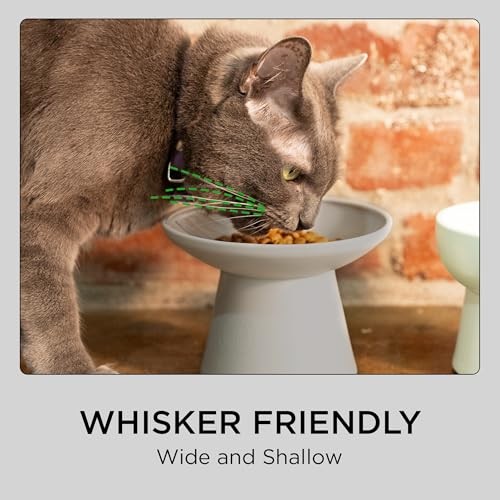 Necoichi 2pcs Extra-Wide Elevated Cat Food Bowls – BPA Gray and White (Classic)