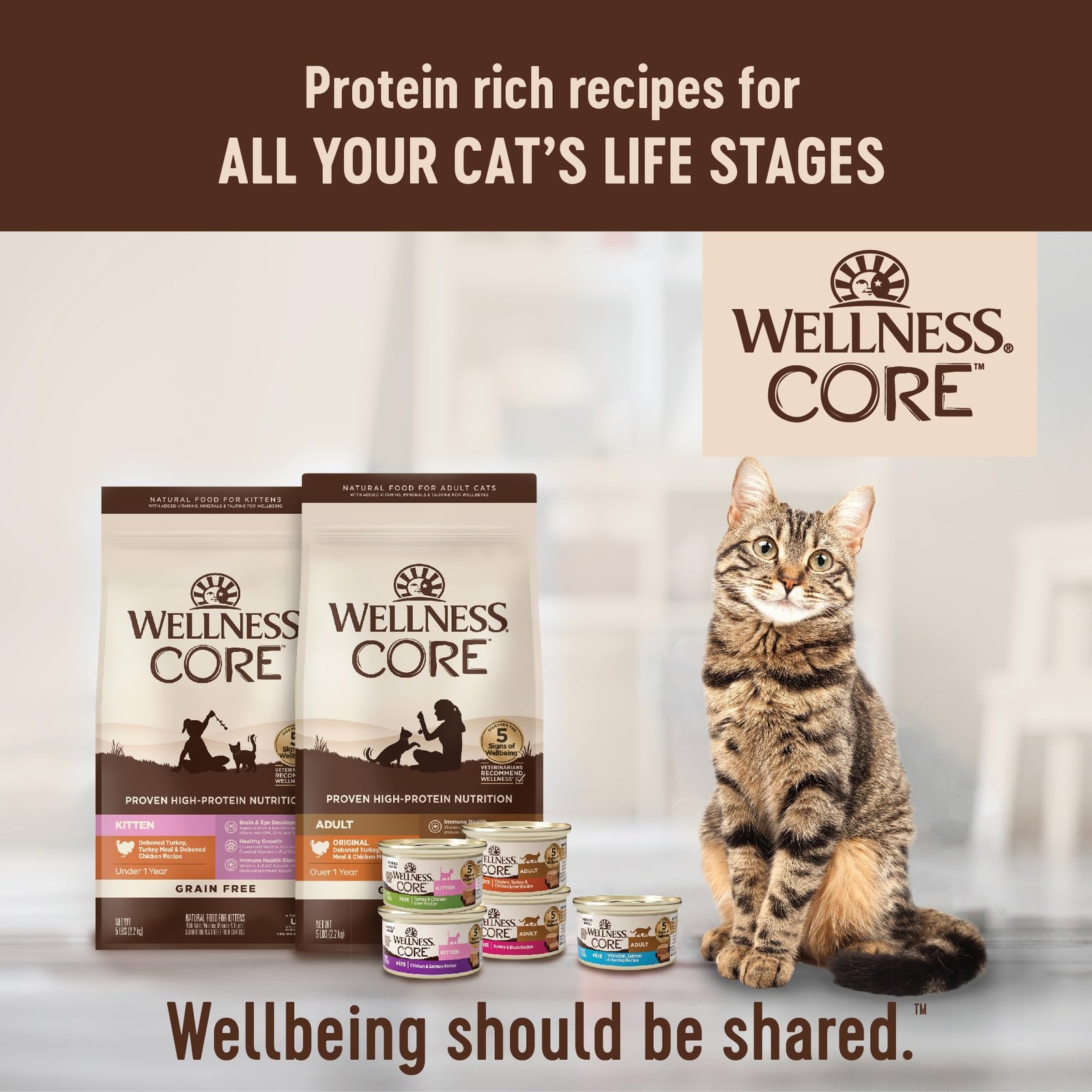Wellness Core Grain Free Dry Cat Food Turkey Duck Recipe 5 Pound Bag