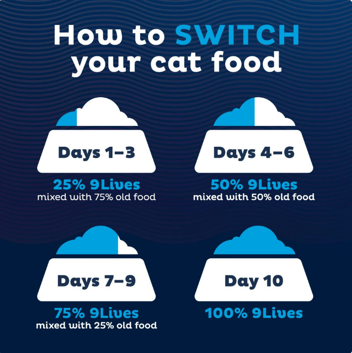 3 Bag 9Lives Daily Essentials Dry Cat Food w Chicken, Beef&Salmon,15.5 lb Bag