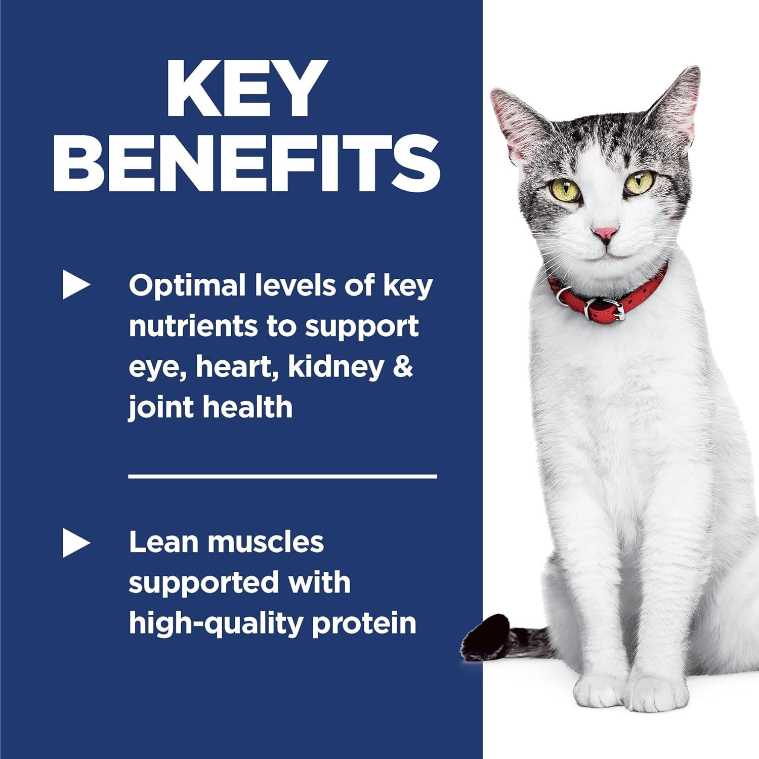 Hill’S Science Diet Adult 11+, Senior Adult 11+ Premium Nutrition, Dry Cat Food,