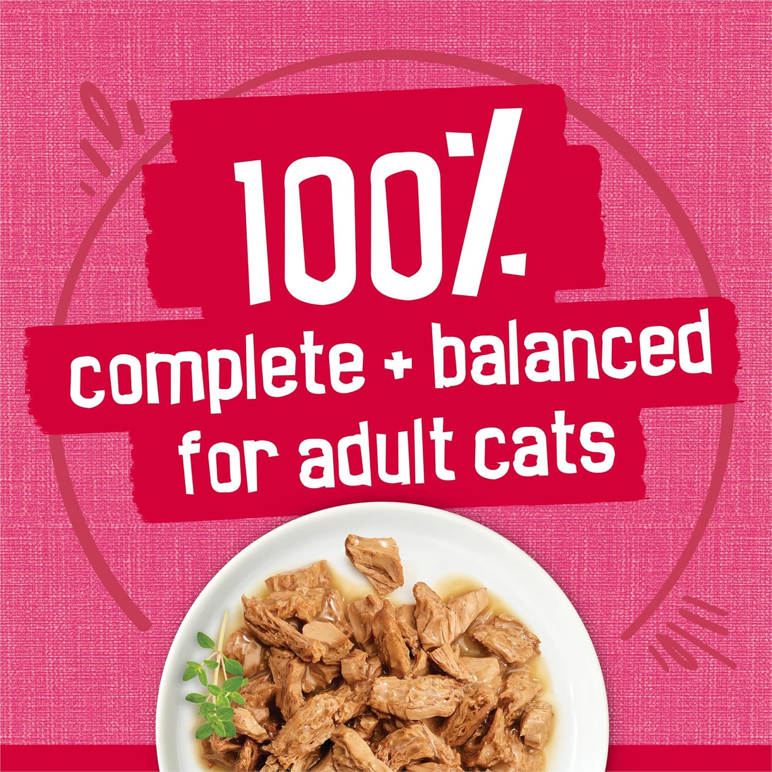 Purina Prime Filets with Salmon and Beef in Sauce High Protein Wet Cat Food – (