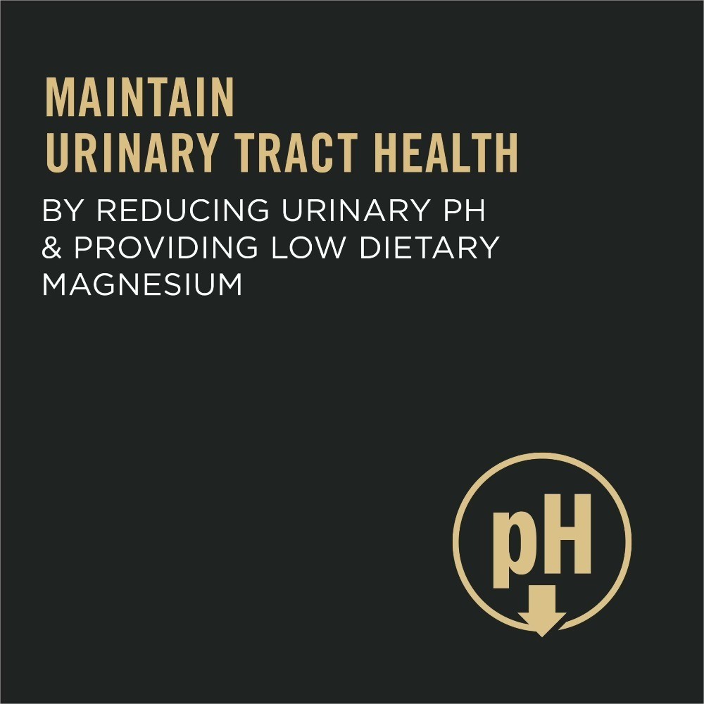 Pro Plan Urinary Tract Health Dry Cat Food, Chicken & Rice, 3.5 lb Bag