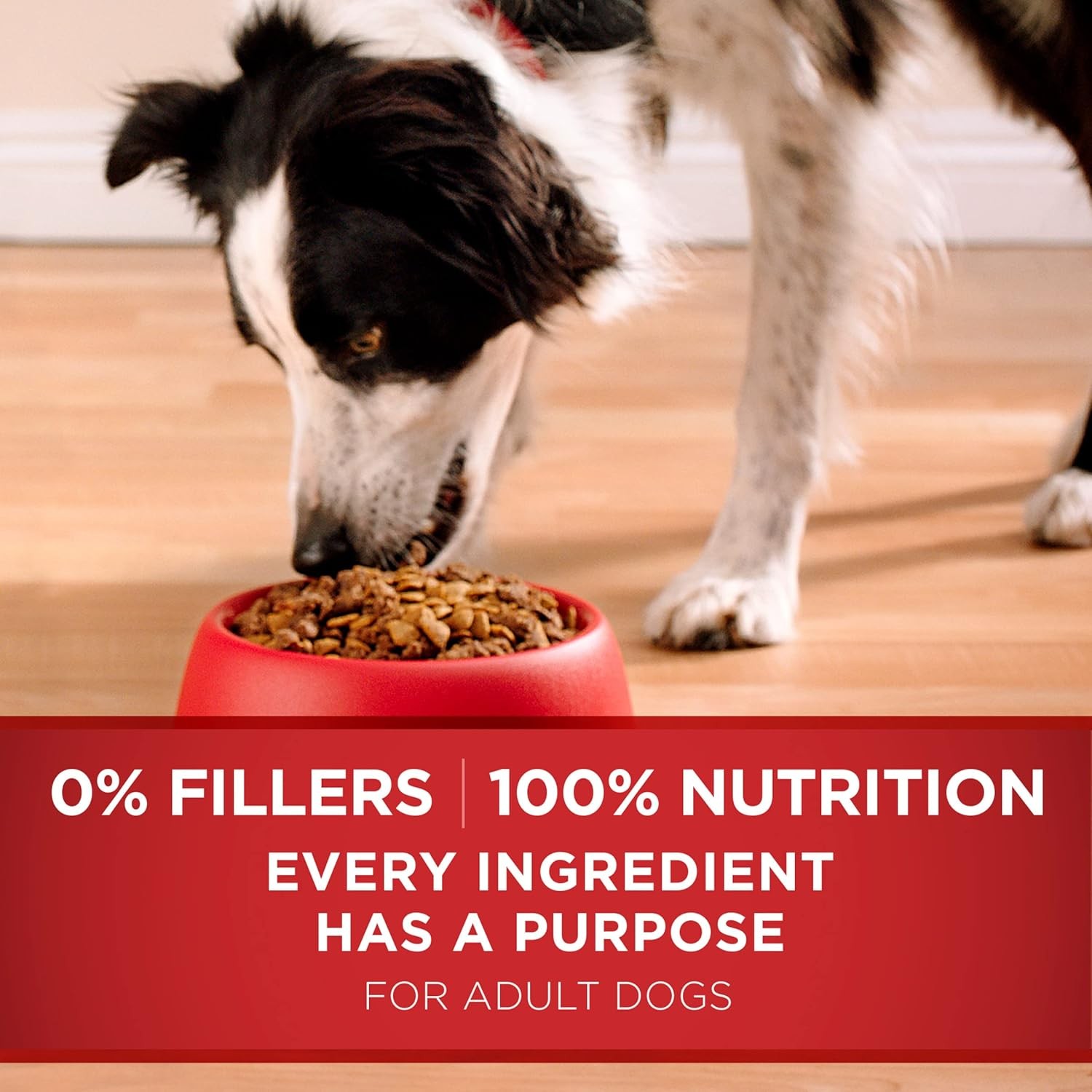 Purina ONE Dry Dog Food Lamb and Rice Formula – 16.5 lb. Bag