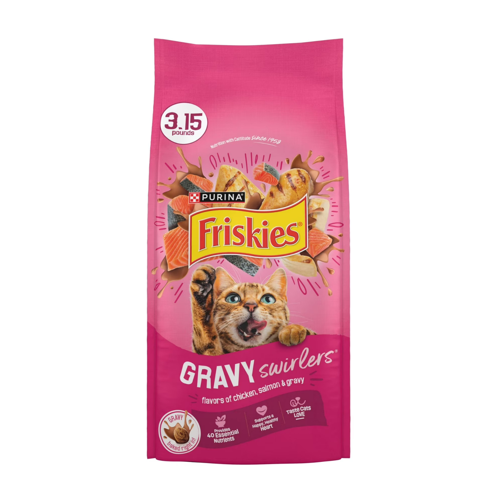 Purina Friskies Gravy Swirlers Chicken & Salmon Dry Cat Food – 3.15 lb. Bag