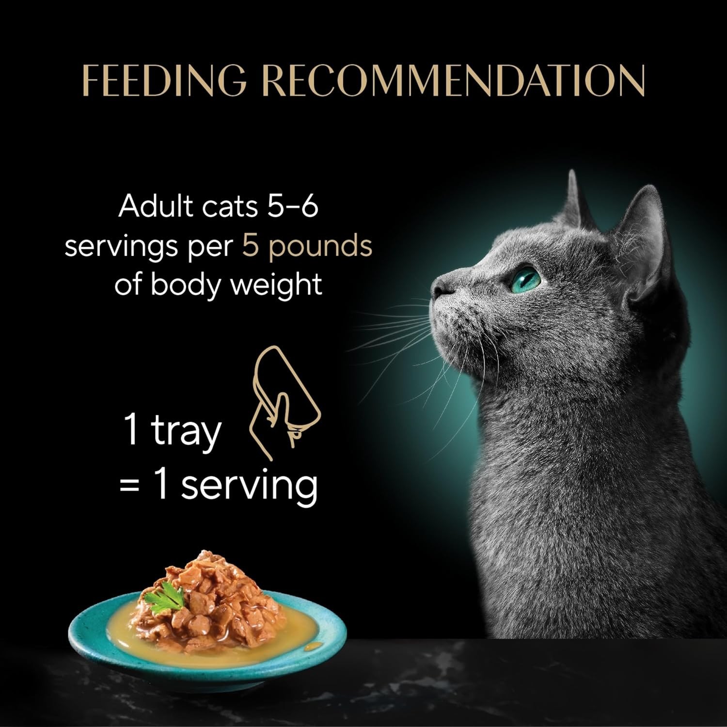 Gourmet Chicken Wet Cat Food in Extra Gravy 24 Servings for Daily Feeding