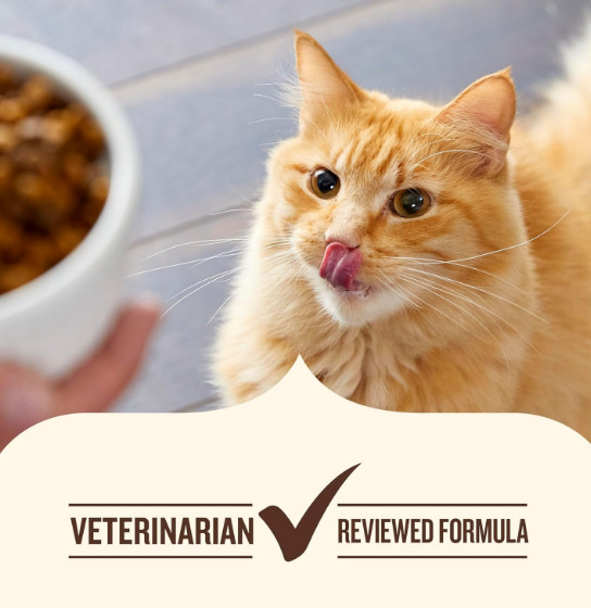 Indoor Complete Chicken, Lentils & Salmon Recipe Dry Cat Food 14 lb. Bag