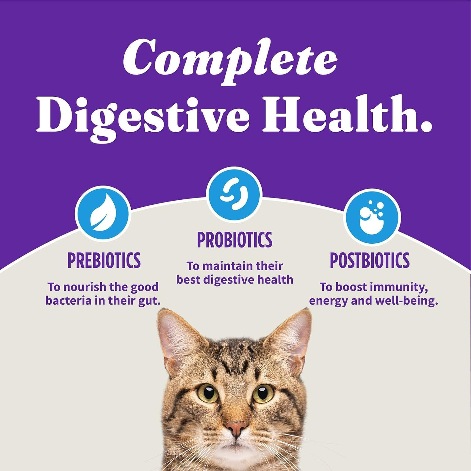 Halo Holistic Dry Cat Food for Sensitive Stomach, Wild-Caught Whitefish Natural