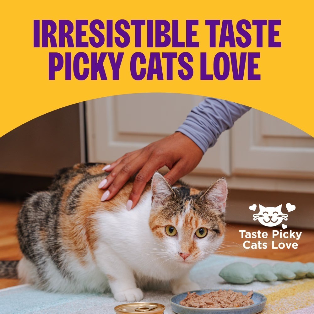 Natural Grain Free Adult Wet Cat Food Canned Chicken Entrée Recipe Protein Rich