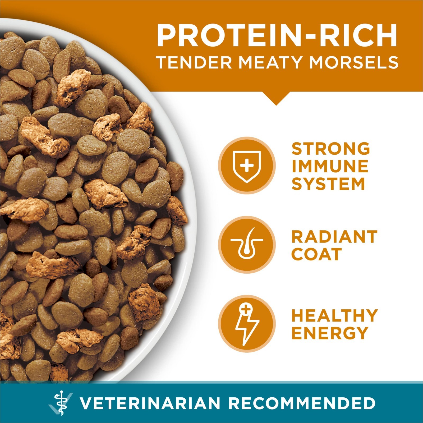 Purina ONE Natural Dry Cat Food, Tender Selects Blend With Real Chicken – 22 lb.