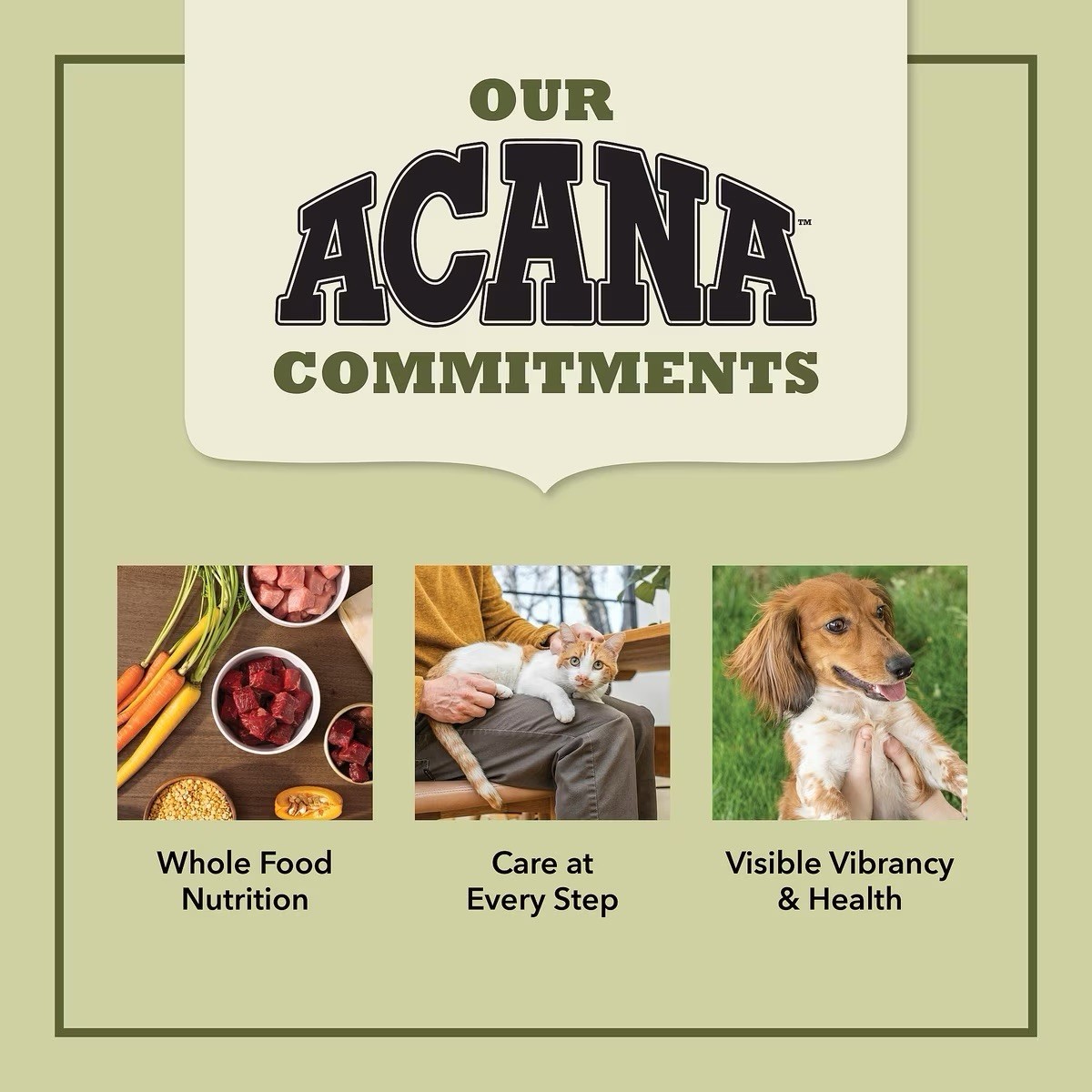 5.5oz ACANA Chunks Lamb & Kidney Recipe In Broth Canned Cat Food 12pk