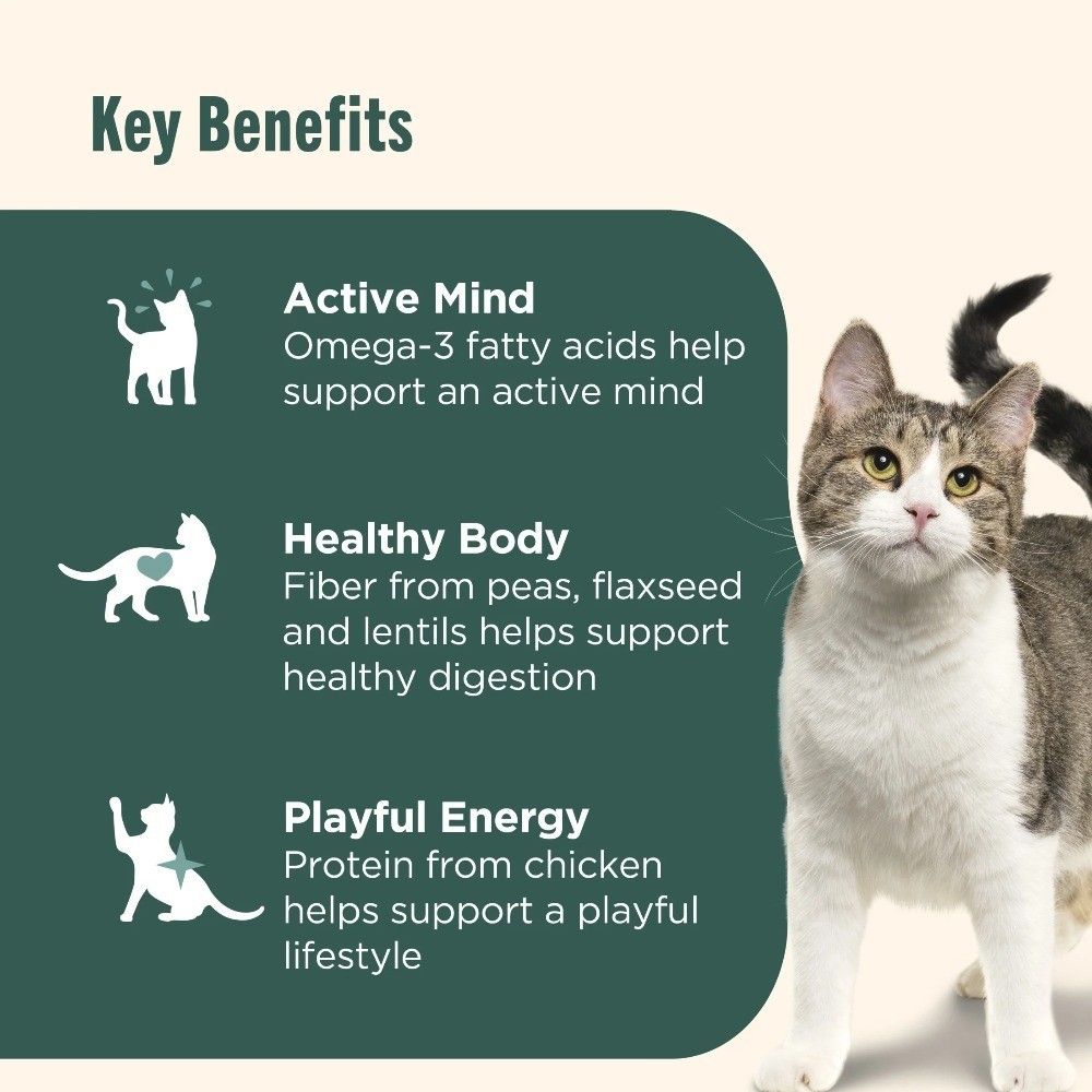 Dry Cat Food for Indoor Cats with Chicken Lentils and Salmon 3 lb Bag