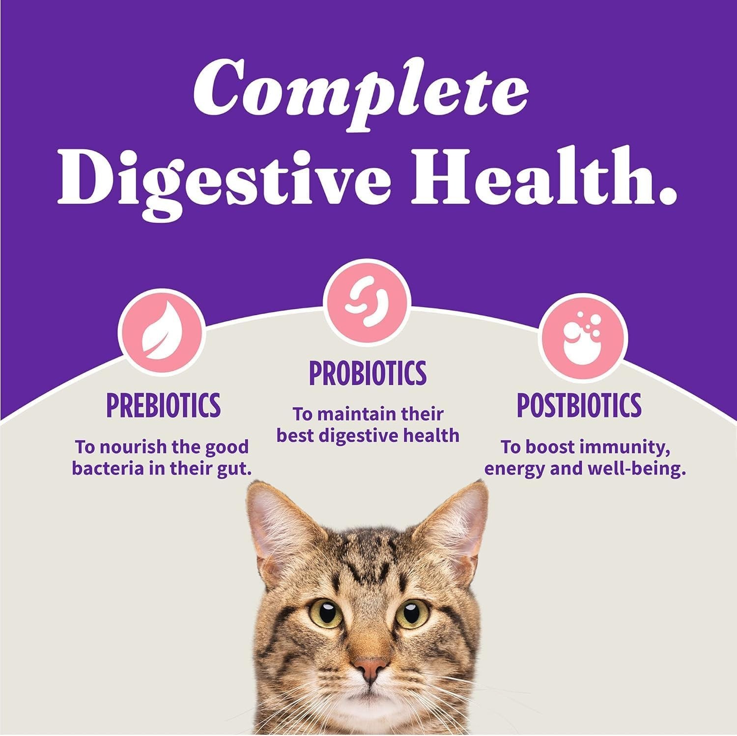 Holistic Indoor Cat Food Dry Grain Free Wild-caught Salmon & Whitefish Recipe