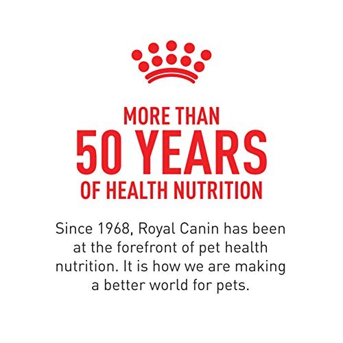 Royal Canin Feline Care Nutrition Digestive Adult 3 Pound (Pack of 1)