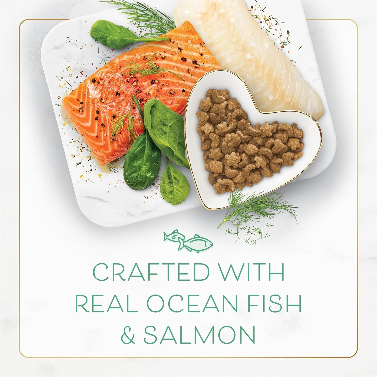Purina Fancy Feast 3 lb Ocean Fish & Salmon Dry Cat Food – Gourmet Health Choice