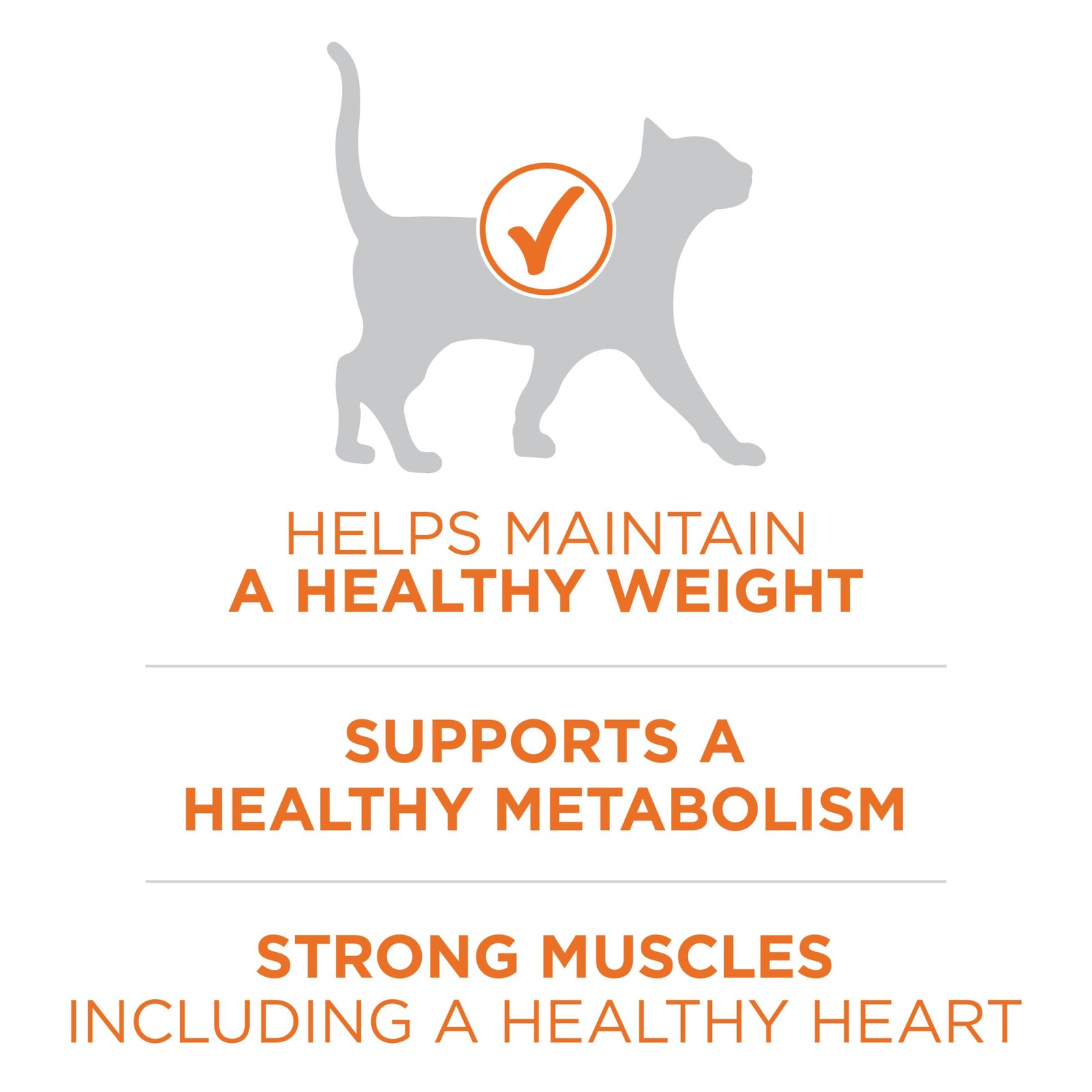 Purina ONE High Protein, Healthy Plus Ideal With 7 Pound (Pack of 1), Brown