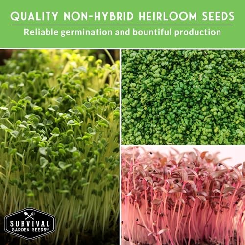 Microgreens Seeds Variety Pack – 15 Heirloom Varieties for Indoor Sprouting &