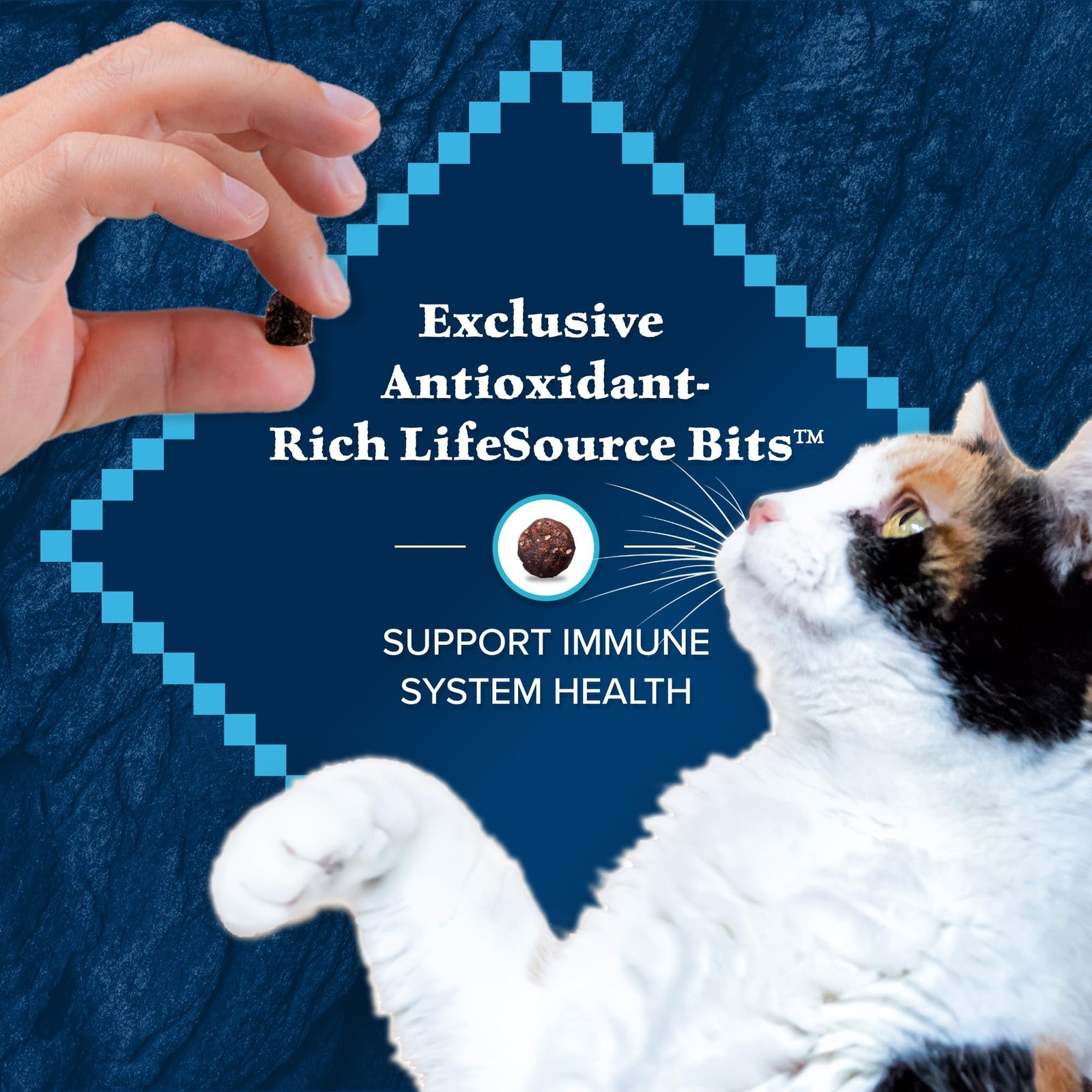 Blue Buffalo Wilderness Healthy Adult Dry Cat Food, Supports Health and Welln…