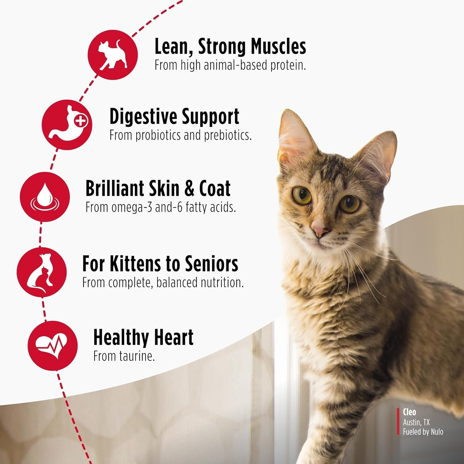 Nulo Freestyle Cat & Kitten Dry Food – Chicken & Cod Recipe, High Protein Grain