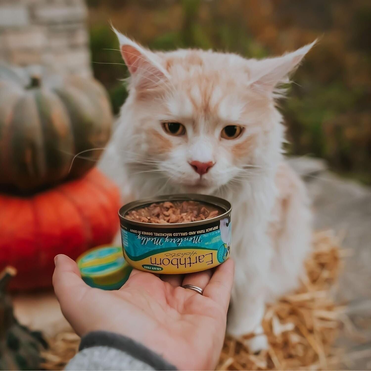 Earthborn Holistic Monterey Medley Grain-Free Moist Cat Food, Beige, 5.5…