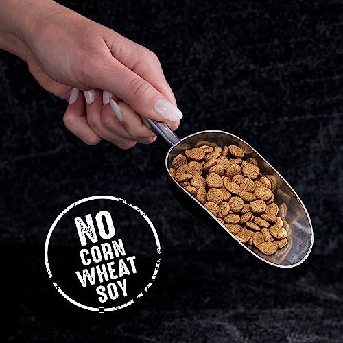CRAVE Grain Free Indoor Adult High Protein Natural Dry Cat Food Protein 2-Lbs