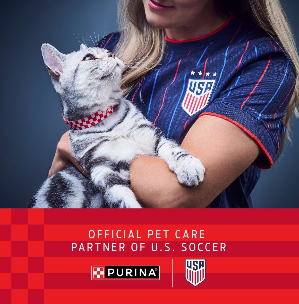 (2 pack ) Purina Fancy Feast Kitten Food, Wet Cat Food, Classic Pate Collection