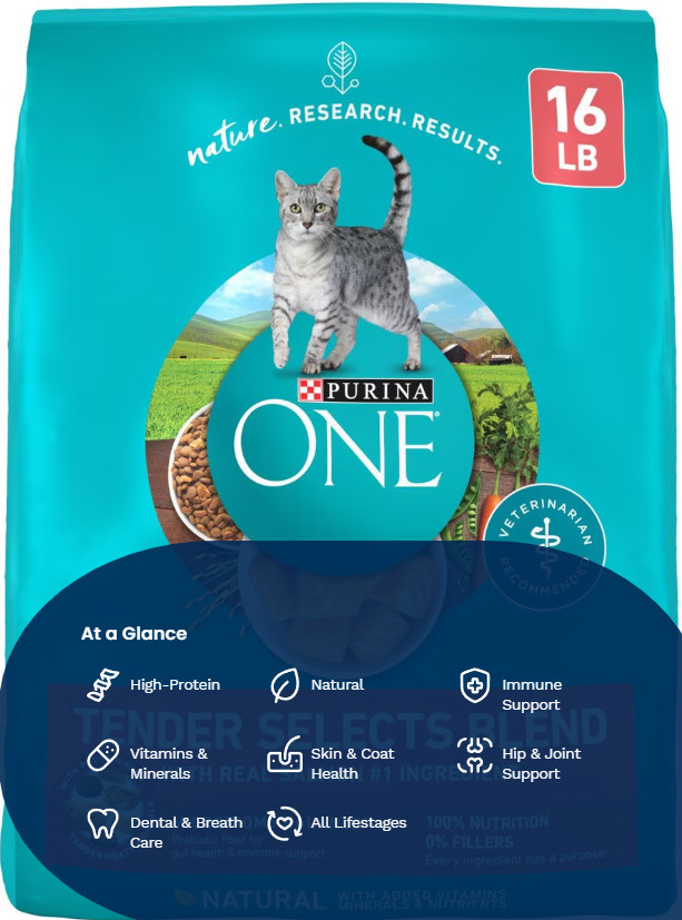 (2 pack)Purina ONE Tender Selects Blend with Real Salmon Dry Cat Food, 16-lb bag