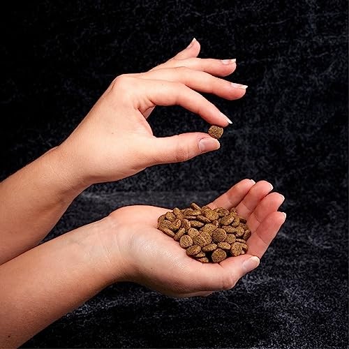 CRAVE Grain Free Indoor Adult High Protein Natural Dry Cat Food Protein 2-Lbs