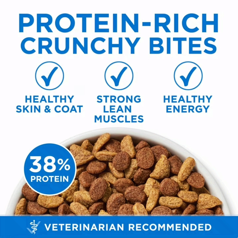 Purina ONE Natural Dry Cat Food Salmon&Ocean Whitefish Skin,Coat Health,22lb Bag