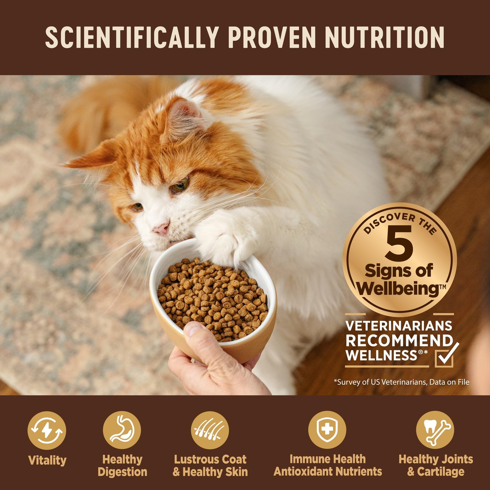 Wellness Core Grain Free Dry Cat Food Turkey Duck Recipe 5 Pound Bag