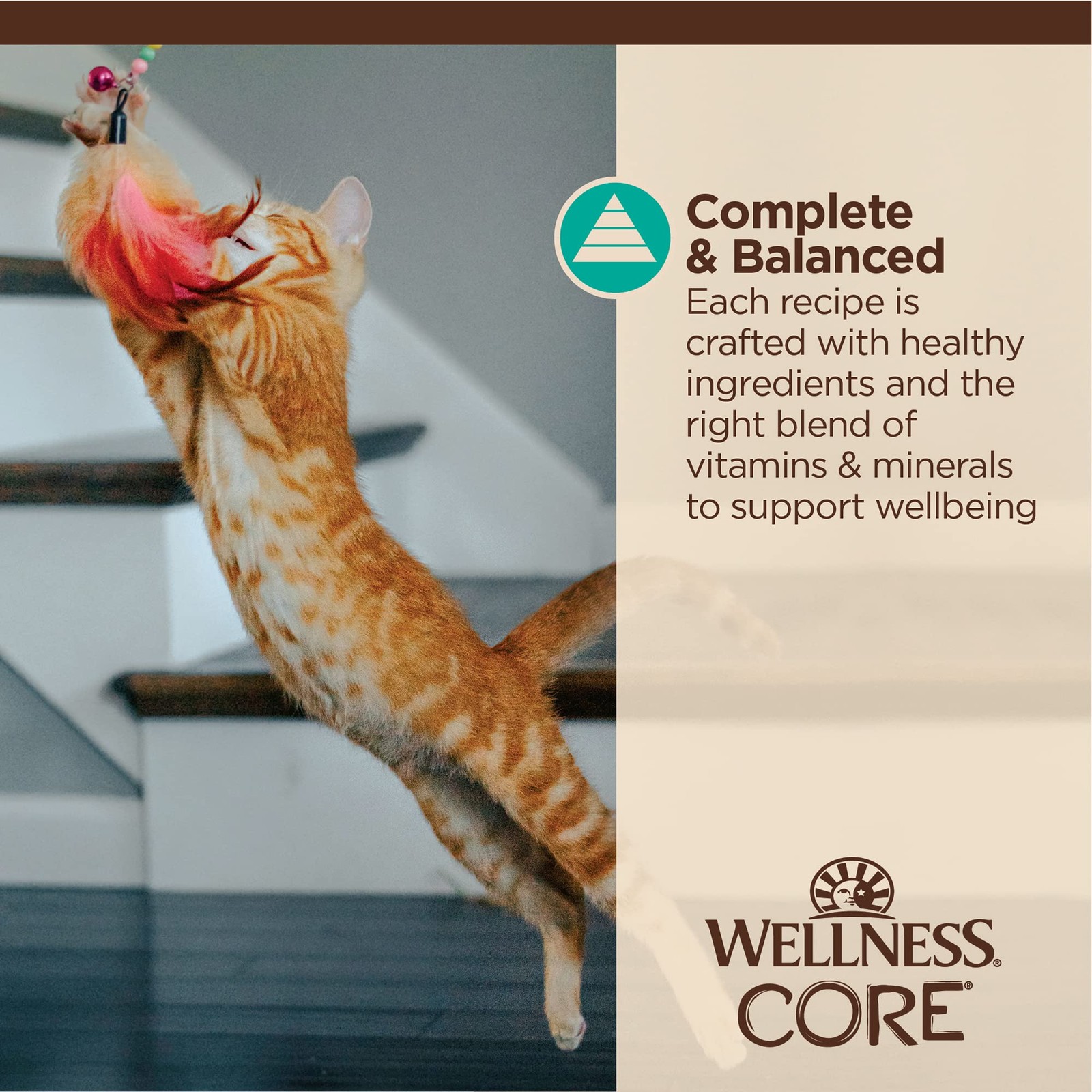 Tiny Tasters Flaked Adult Wet Cat Food Tuna Salmon Recipe 1.75 oz Pack of 12