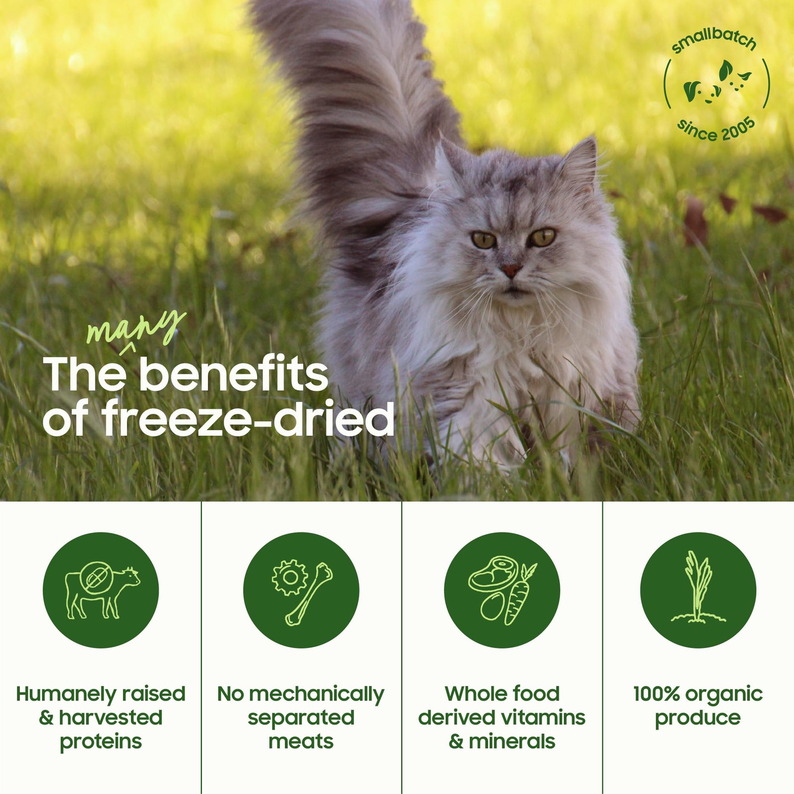 Freeze-Dried Raw Cat Food, Shelf Stable Food Bites, 10 Ounce (Pack of 1)