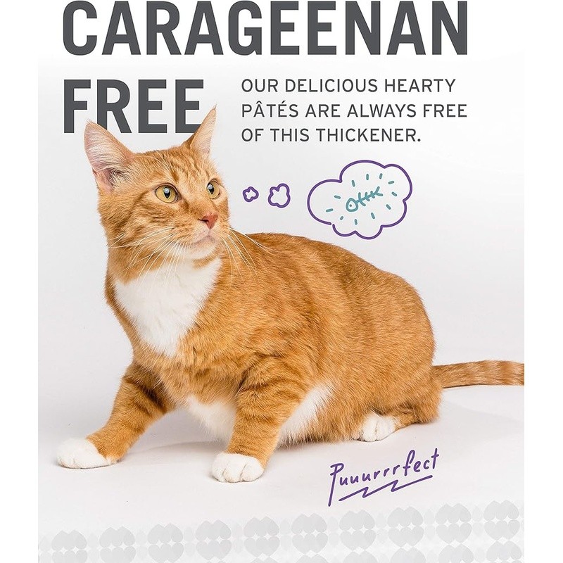 Chunky Cat Stew Wet Food Grain Free Protein Rich Variety Pack All Stages New