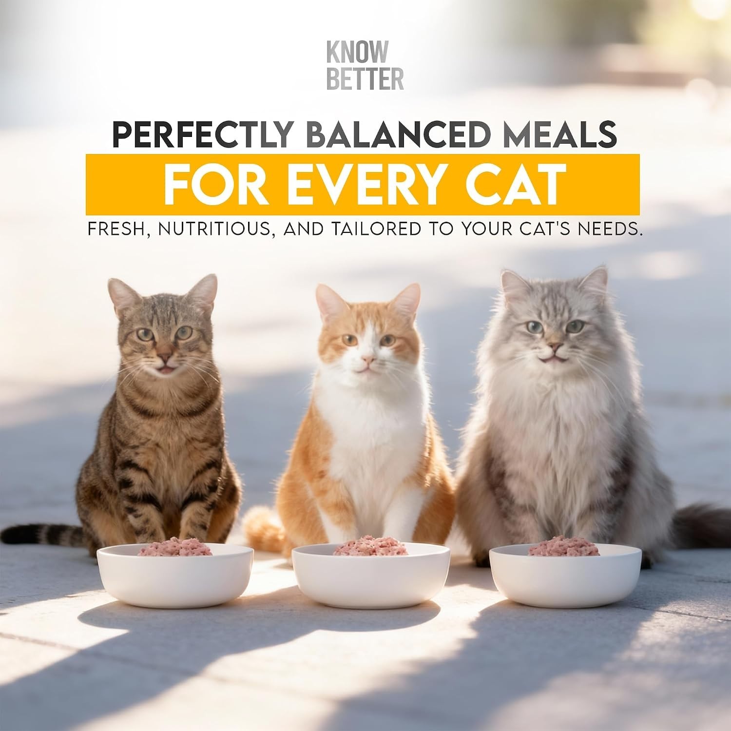 Balanced Chicken Recipe Premix for Cats – Grain-Free, Vet-Approved, 4.8 Oz