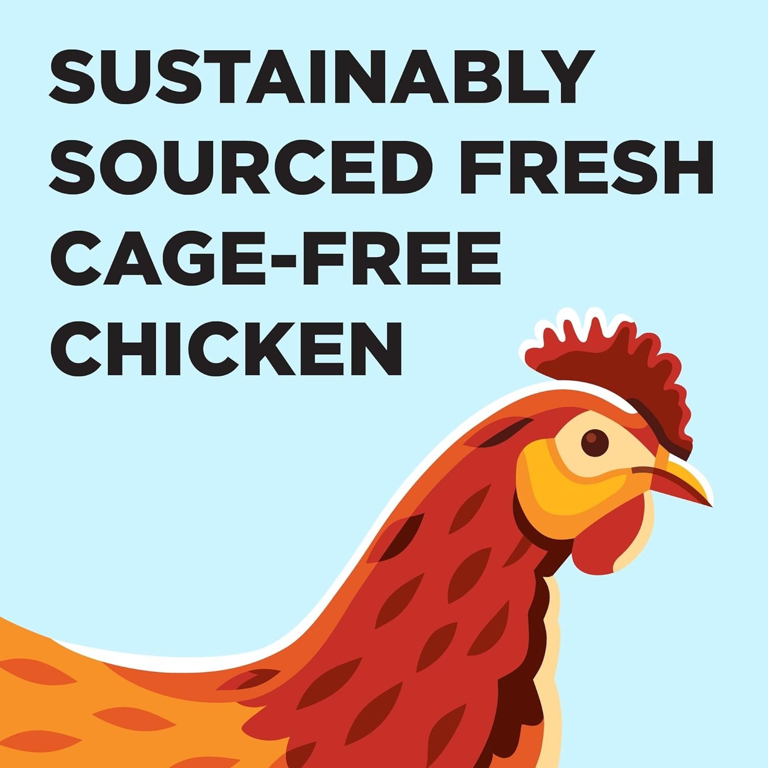 Bixbi Liberty Dry Cat Food Chicken Recipe Grain Free Natural 10 lb Bag Healthy