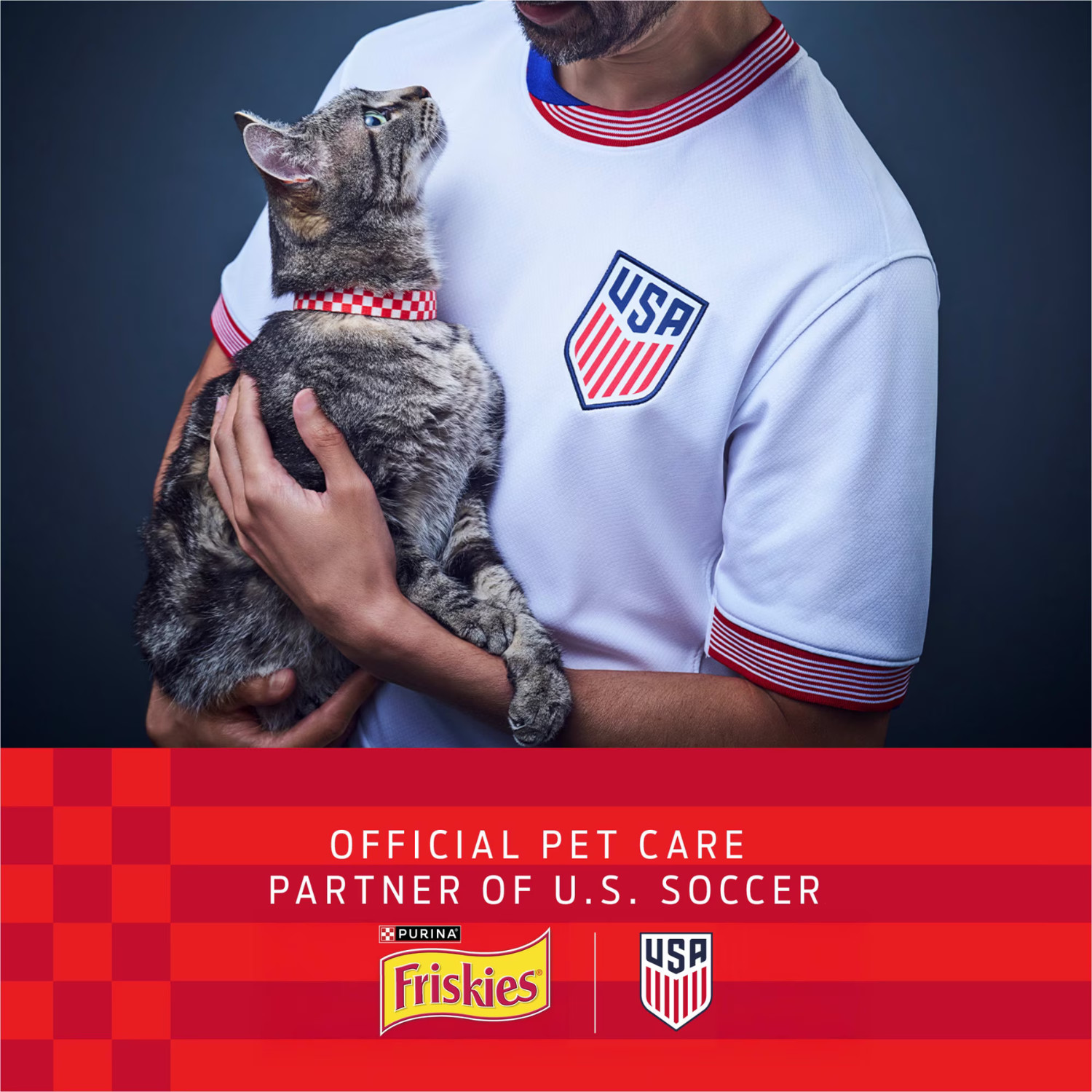 Purina Friskies Gravy Swirlers Dry Cat Food Chicken Salmon 44lb 2 Pack