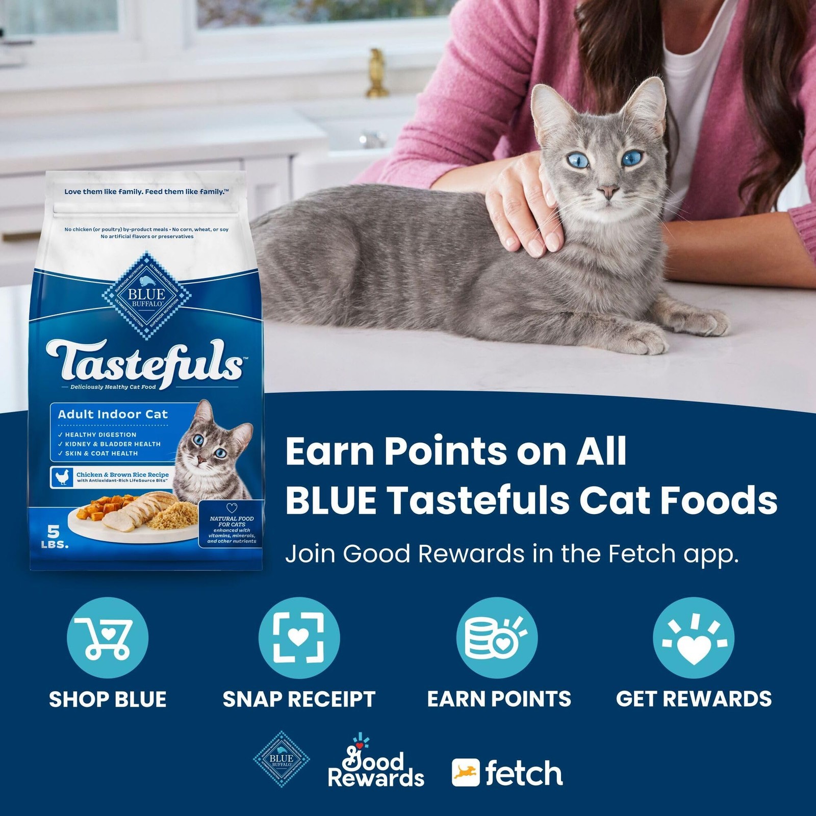 Blue Buffalo Tastefuls Adult Indoor Dry Cat Food, Chicken 3 Pound (Pack of 1)