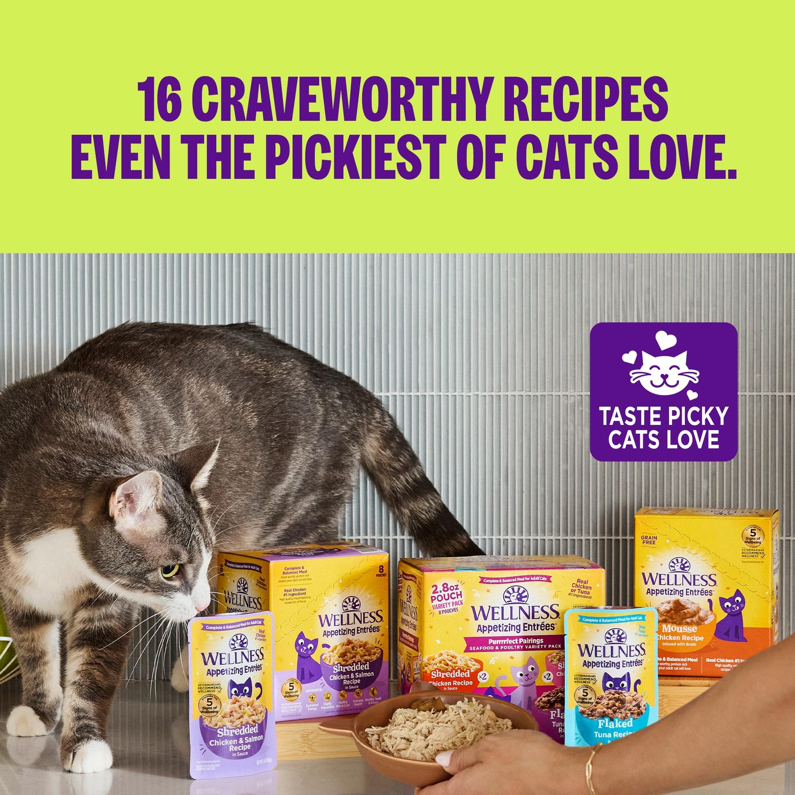 Appetizing Entrées Flaked, Shredded and Mousse Variety Pack Adult Wet Cat Foo…