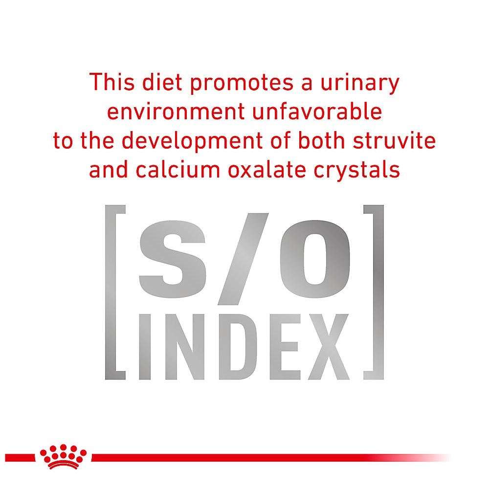 Royal Canin Uriniary SO Diet Cat Feline Wet Canned Food – Loaf in Sauce 5.1 oz