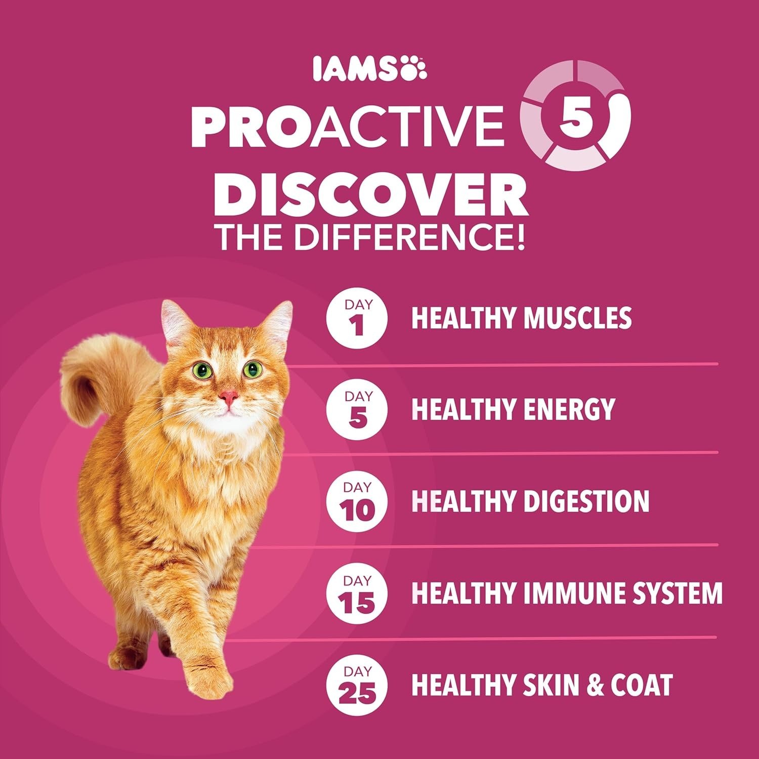 IAMS Proactive Health Adult Urinary Tract Healthy Dry Cat Food with Chicken 22lb