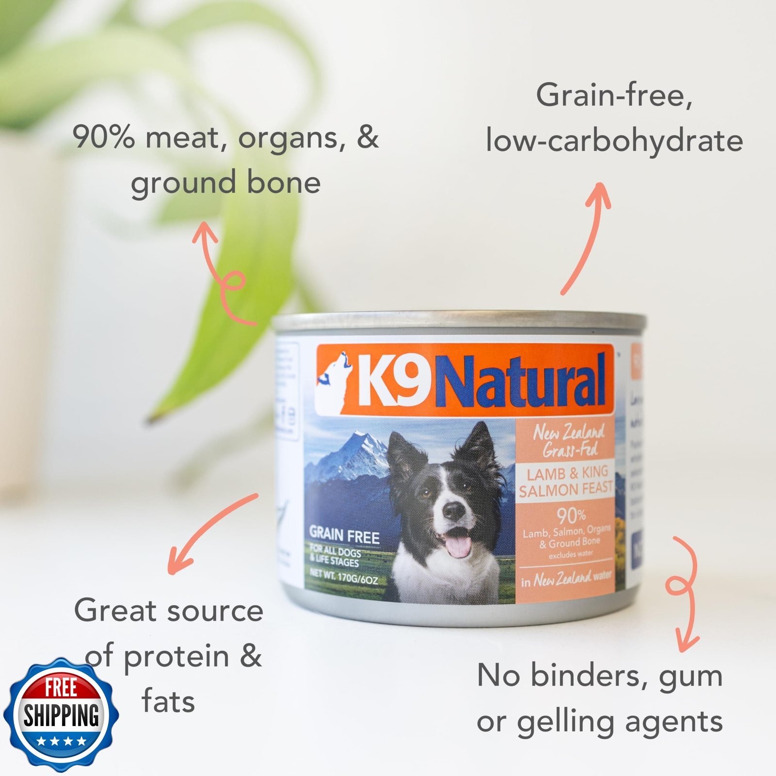 K9 Natural Wet Dog Food Pate, Lamb and King Salmon Feast, 6 Oz Cans (Pack of