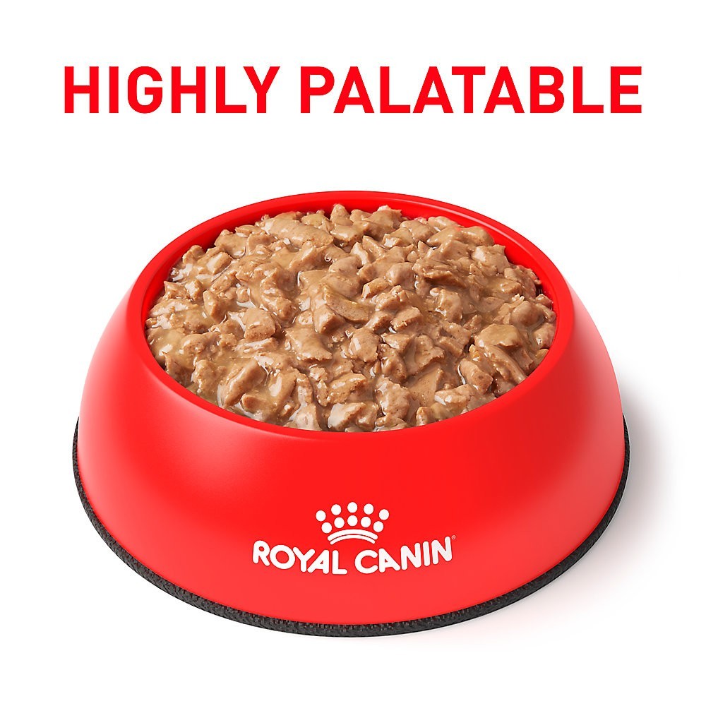 Royal Canin Uriniary SO Diet Cat Feline Wet Canned Food – Loaf in Sauce 5.1 oz