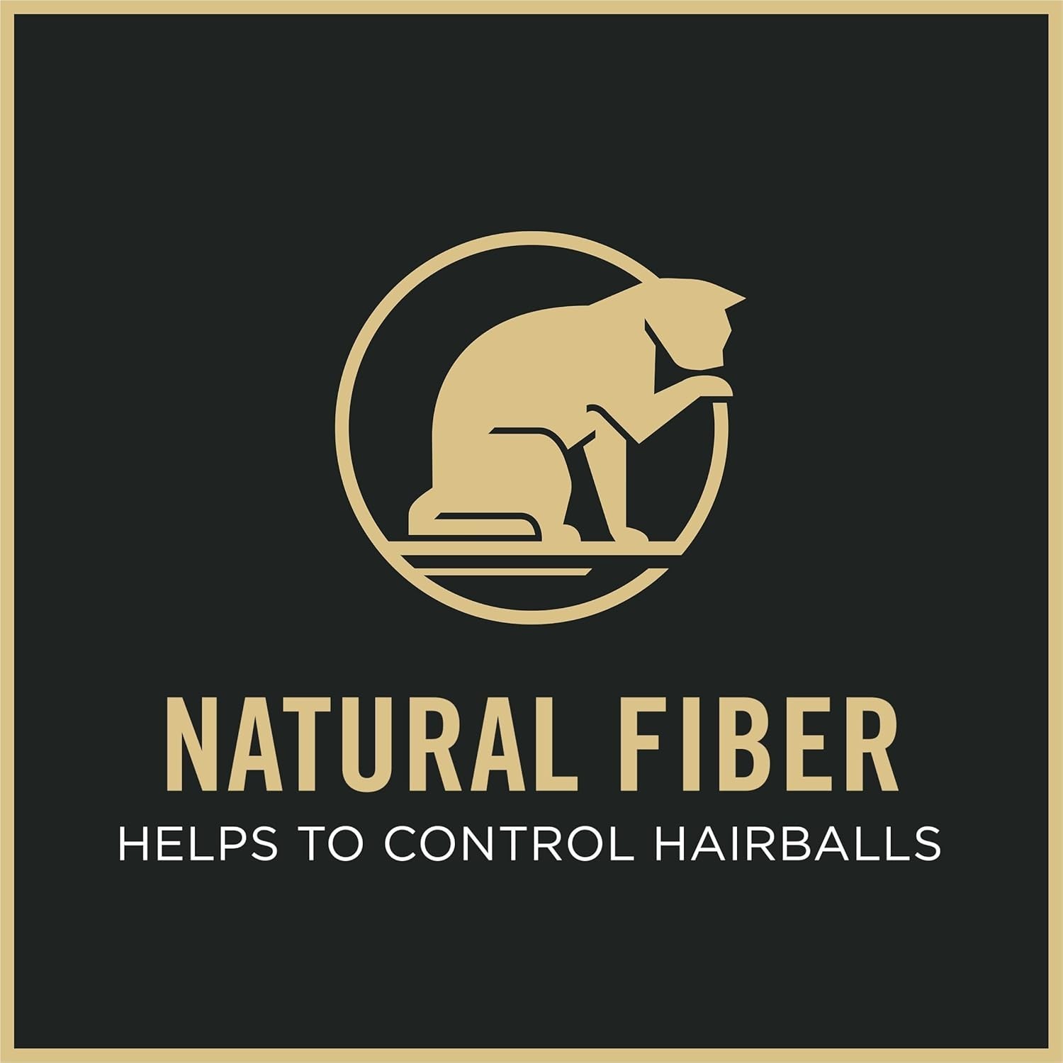 Purina Pro Plan Focus Indoor Hairball Adult Dry Cat Food – High Fiber, 16 lb