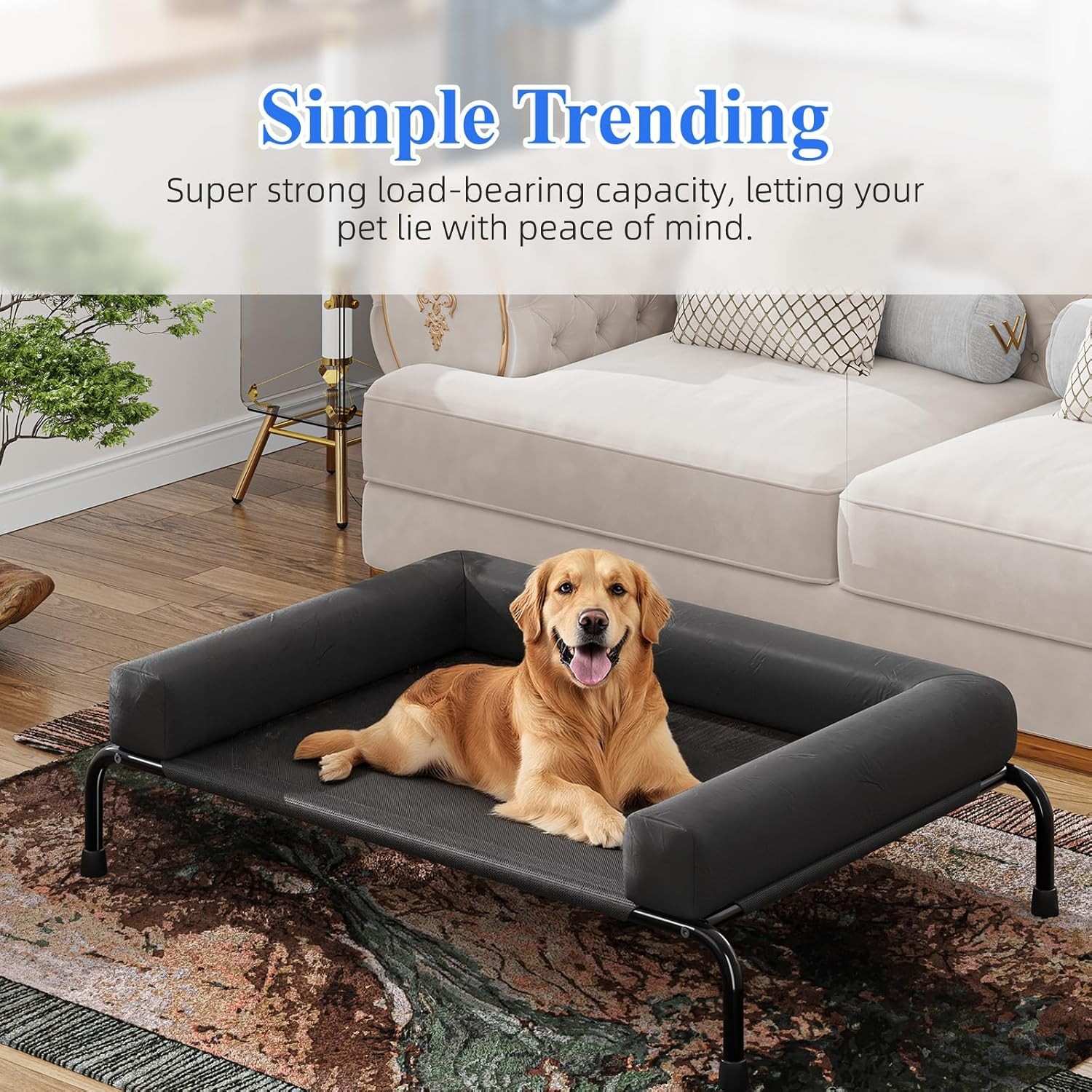 Simple Trending Elevated Dog Bed for Large Dogs, Cooling Raised Dog Cot with Bol
