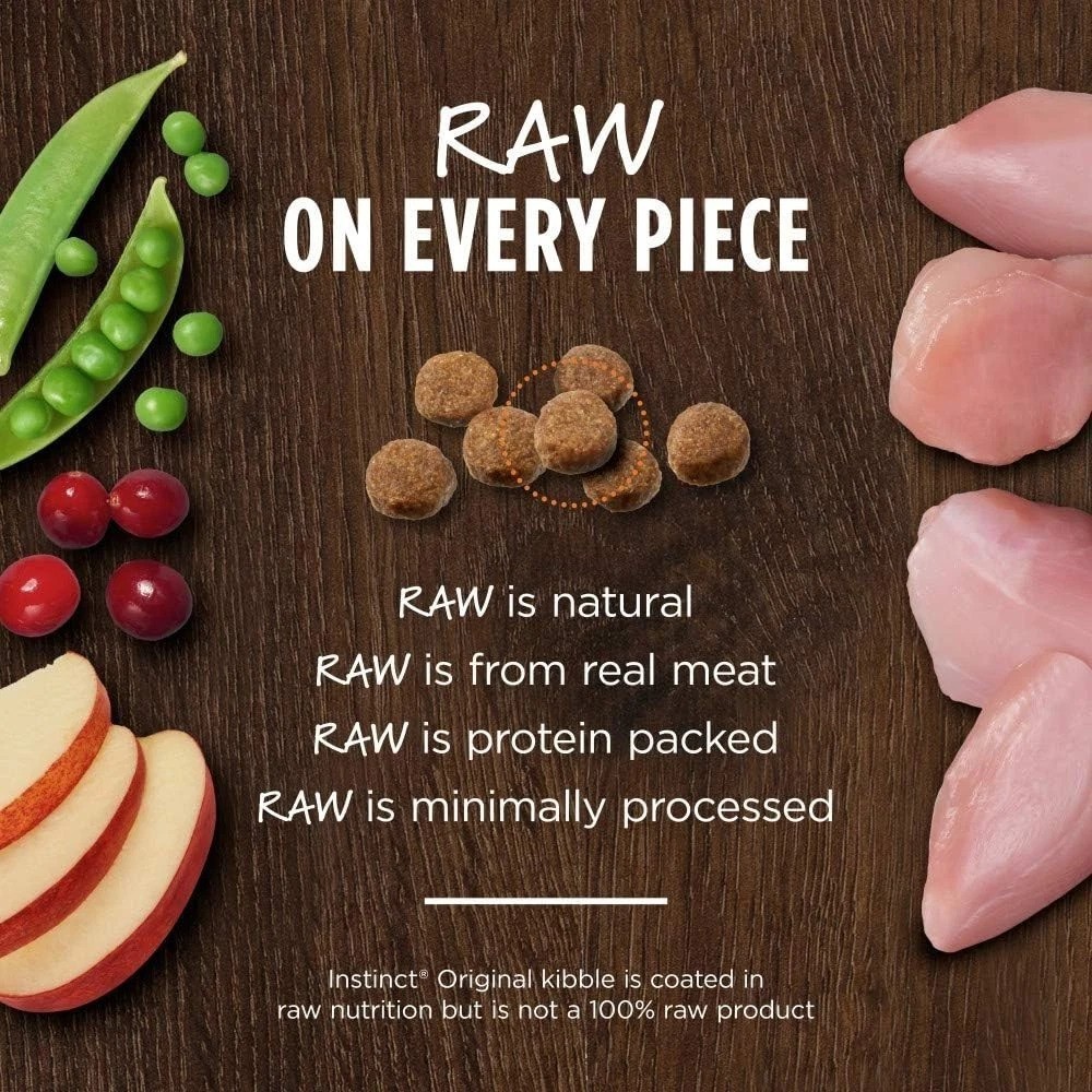 Dry Cat Food with Real Rabbit – Grain-Free, High Protein
