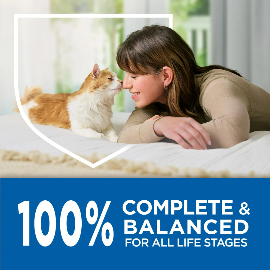 (2 pack) Purina Cat Chow Complete With Real Chicken Dry Cat Food, 20 lb Bag