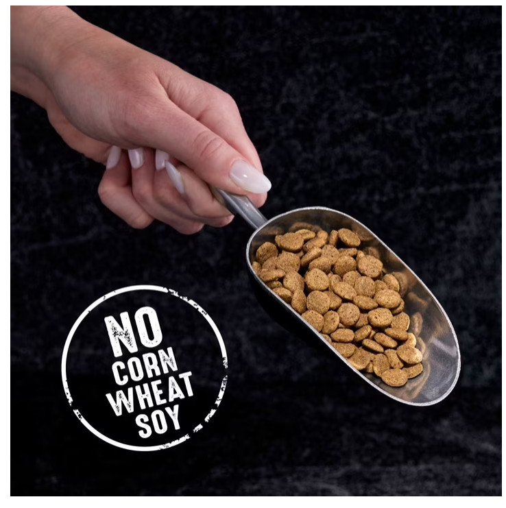 CRAVE Grain Free Adult Dry Cat Food Salmon High Protein Natural Recipe 2 lb Bag
