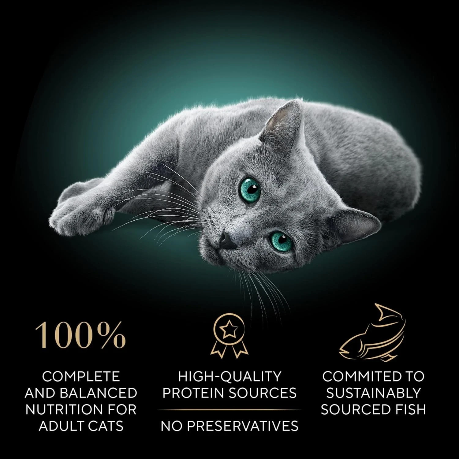 Sheba Perfect Portions Wet Cat Food Cuts in Gravy Variety Pack, Roasted Chicken