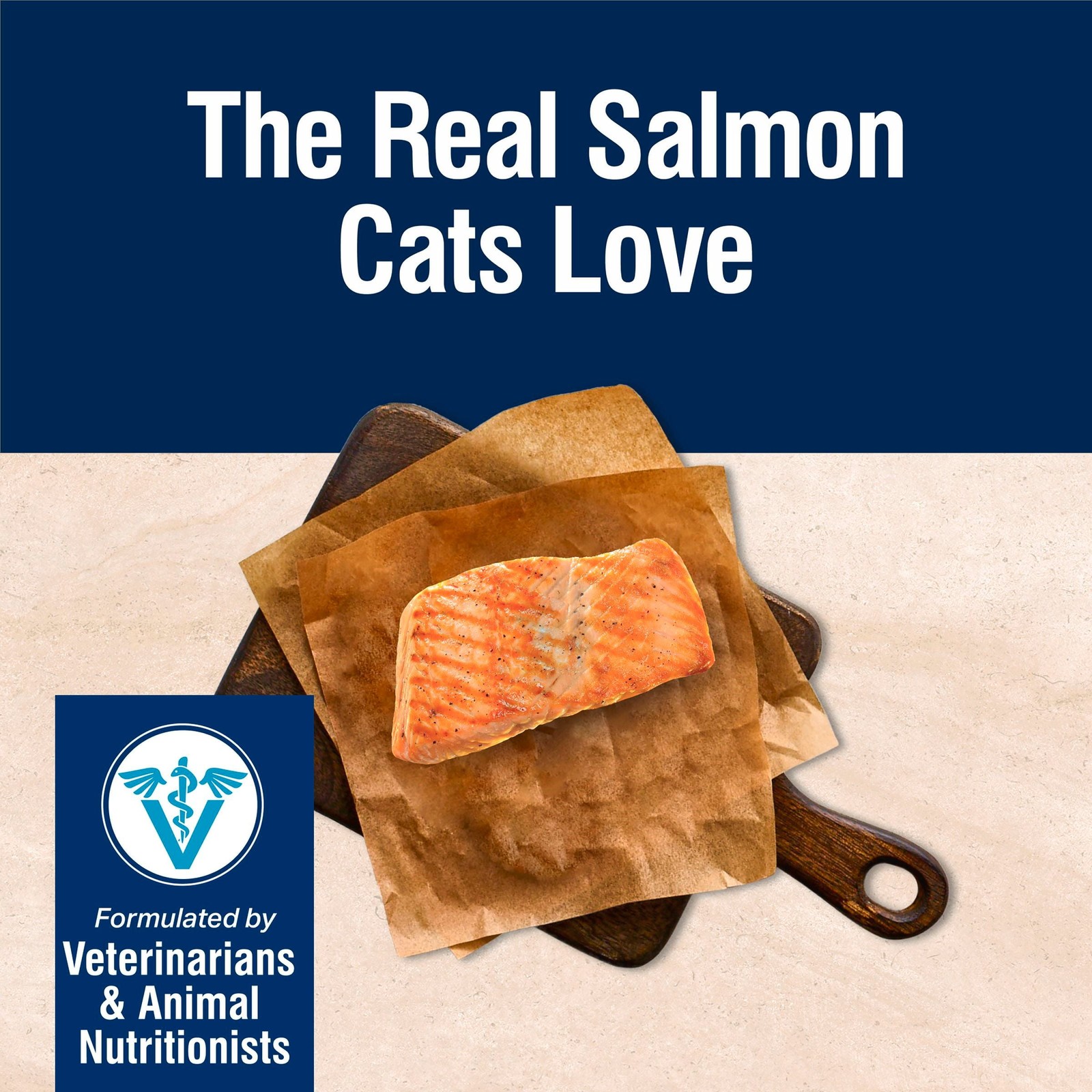 Blue Buffalo True Solutions Skin & Coat Care Natural Dry Cat Food, Salmon